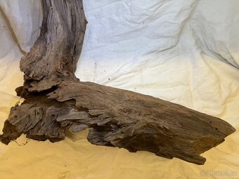 Kořen Amazonas root XL 40-60 cm - 3