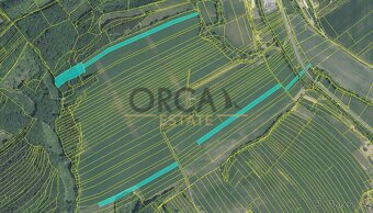 Prodej 5 ha pozemků v k. ú. Horní Lhota u Luhačovic - 3