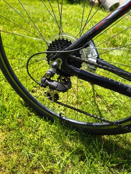 Pánské kolo Dema Merano - 3