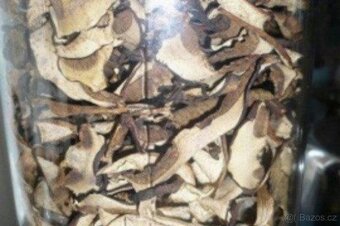 DOMÁCÍ VÝROBKY - 3