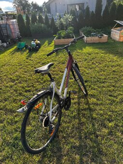 Dámské kolo Heavy Tools - 3