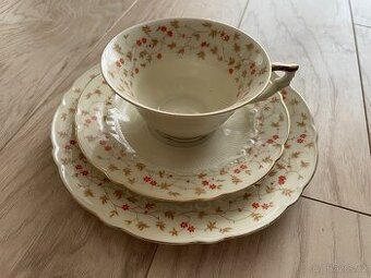 Vintage porcelánové Čajové trio BAVARIA GERMANY - 3
