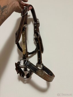 Halter ohlávka - 3
