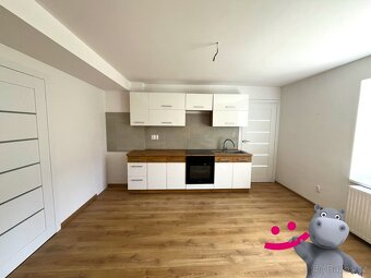 Prodej bytu 2+kk, 49 m2 - Uhelná - Horní Fořt, ev.č. 58504 - 3