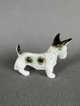 Royal Dux Porcelánová soška Teriér D 10.5 cm - 3