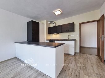 Pronájem prostorného a slunného bytu 2+kk o velikosti 80 m2 - 3