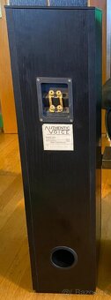 Authentic Voice Magic 221 - 3