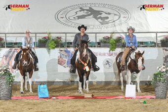 Fantastic Dj Valentin -připouštění homozygotní APH plemeník - 3