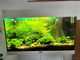 Juwel Aquarium - 3