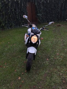 Suzuki Gladius 650 24t km - 3