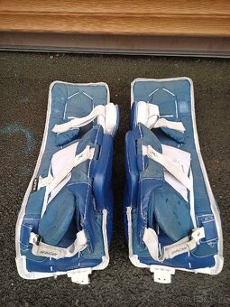 Prodam Betony Bauer 30+1 - 3