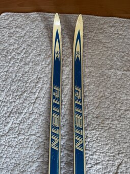 Běžky Artis Rubín - 3