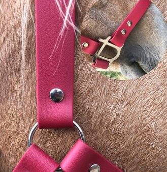 Voděodolné ohlávky - 3