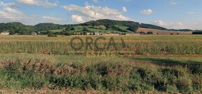 Prodej zemědělskému pozemku o výměře 4545 m2 v k.ú. Městečko - 3