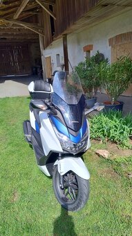 Honda Forza 125 ccm - 3