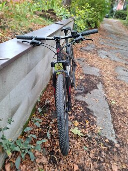 Specialized Rockhopper 29 - 3