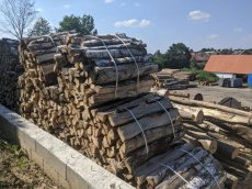 Palivové dřevo bříza Prachatice - 3