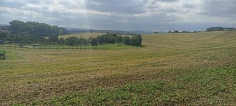 Prodej stavebního pozemku,obec Bohdalice-Pavlovice,CP 3936m2 - 3