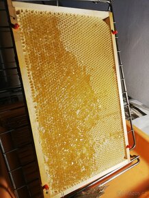 Med přímo od včelaře. - 3