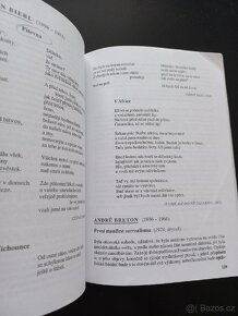Čítanka české a světové literatury - 3