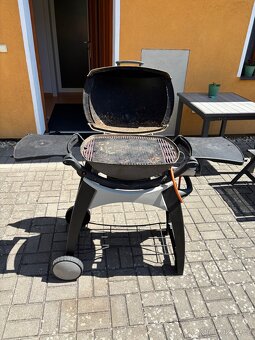 Gril Weber - 3