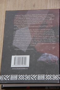 Kniha Asante - Zora Castillo - 3