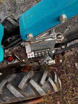 Tera Bertolini 410 - 3