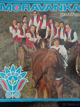 Vinyl dechovka - 3