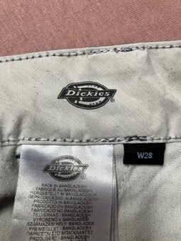 Baggy kratasy Dickies W28 - 3