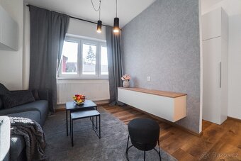 Pronájem luxusního bytu - 3