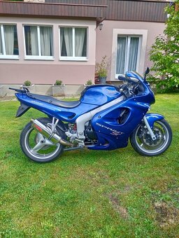 Triumph Sprint ST 955i - 3
