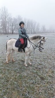 Pony - 3