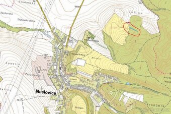 Prodám lesní pozemky v k.ú. Neslovice - 3