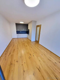 Pronájem bytu 2+kk/T,GS, 63,2 m2, P4-Nusle, ul. Mužíkova, 2. - 3