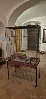 Velká ptačí klec - 3