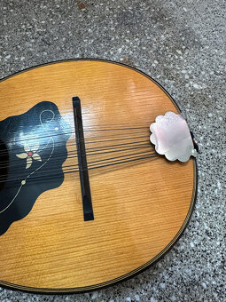 Mandolína rok 1969 - 3