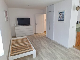 Pronájem bytu 1+kk (35 m2 ) Frenštát p. R. - 3