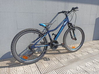 Kross Hexagon 24" - 3