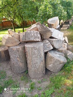 Palivové dřevo - 3