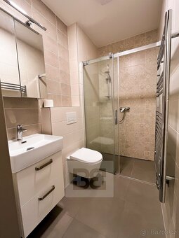 Pronájem nového bytu 1kk Plzeň-Lobzy, ev.č. N08365 - 3
