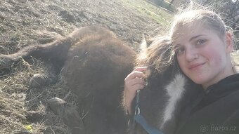 Úžasný poník - 3