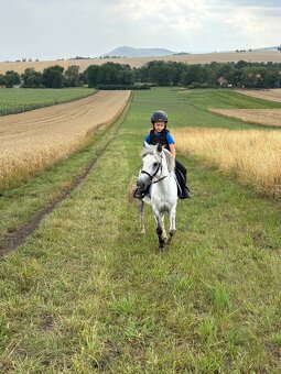 Pony S na prodej - 3