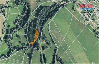 Prodej lesa, 9502 m², Bernartice-Křenov u Žacléře - 3