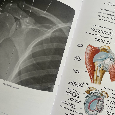 Netterův anatomický atlas, 7. vydání, rozšířené, CZ - TOP st - 3