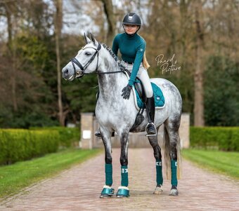 Podsedlova decka Equestrian Stockholm Amazonite - 3