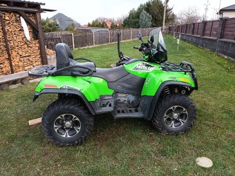 Arctic cat - 3