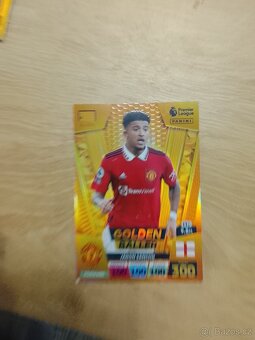 Fotbalove kartičky - 3