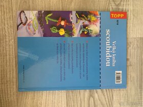 Velká kniha scoubidou - Inge Walz - 3