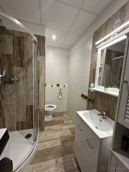 Prodám nebo vyměním byt 1+1 - úprava na 2+1 - 3