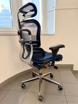 kancelářská židle Ergohuman - 3